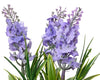 Hyacinth Pot