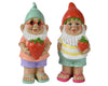 Strawberry Boy Gnomes