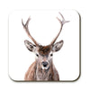 Coaster - Buck