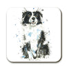 Coaster - Splatter Border Collie