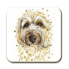 Coaster - Splatter Labradoodle