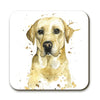 Coaster - Splatter Lola Labrador