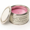 Paint Pot Candle - Apple Blossom & Wild Berry