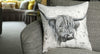 Feather Cushion - Donal