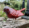 Brushed Red Robin 12.5 cm