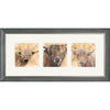 Triptych - Colourful Coos - Landscape - Grey
