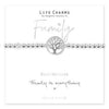 Life Charms - Family Is Everything Bracelet
